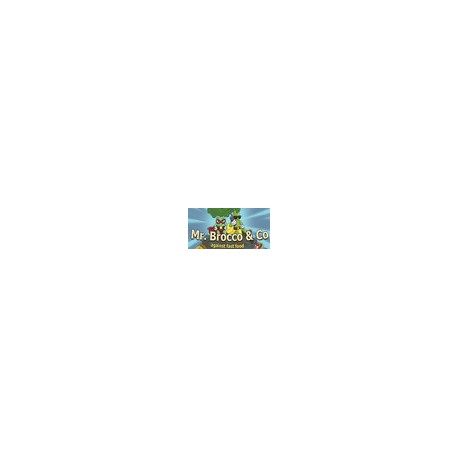 Mr. Brocco & Co. PS4