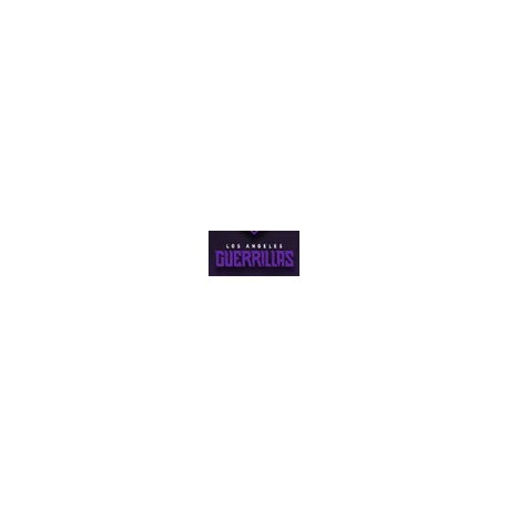 Call of Duty League Los Angeles Guerrillas Team Pack 2023 PS4