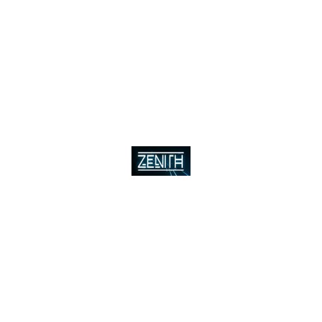 Zenith The Last City PS4